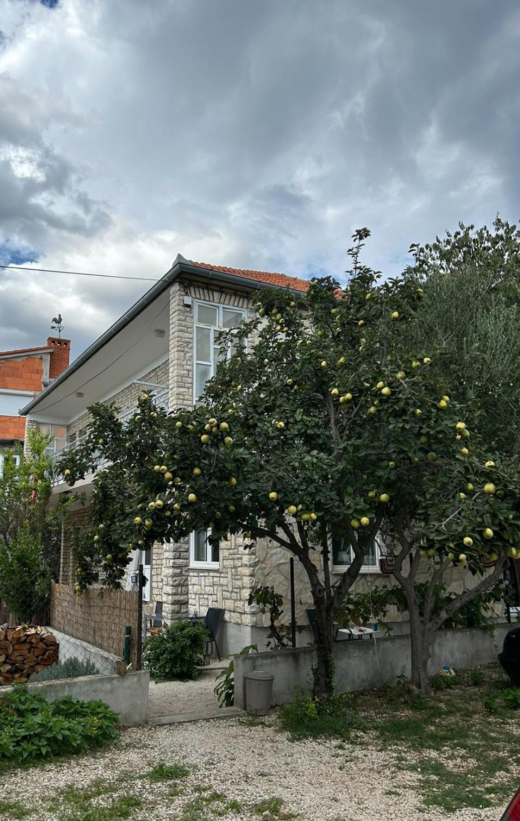 Villa Jadran Zadar Free Parking Sea View Eksteriør bilde