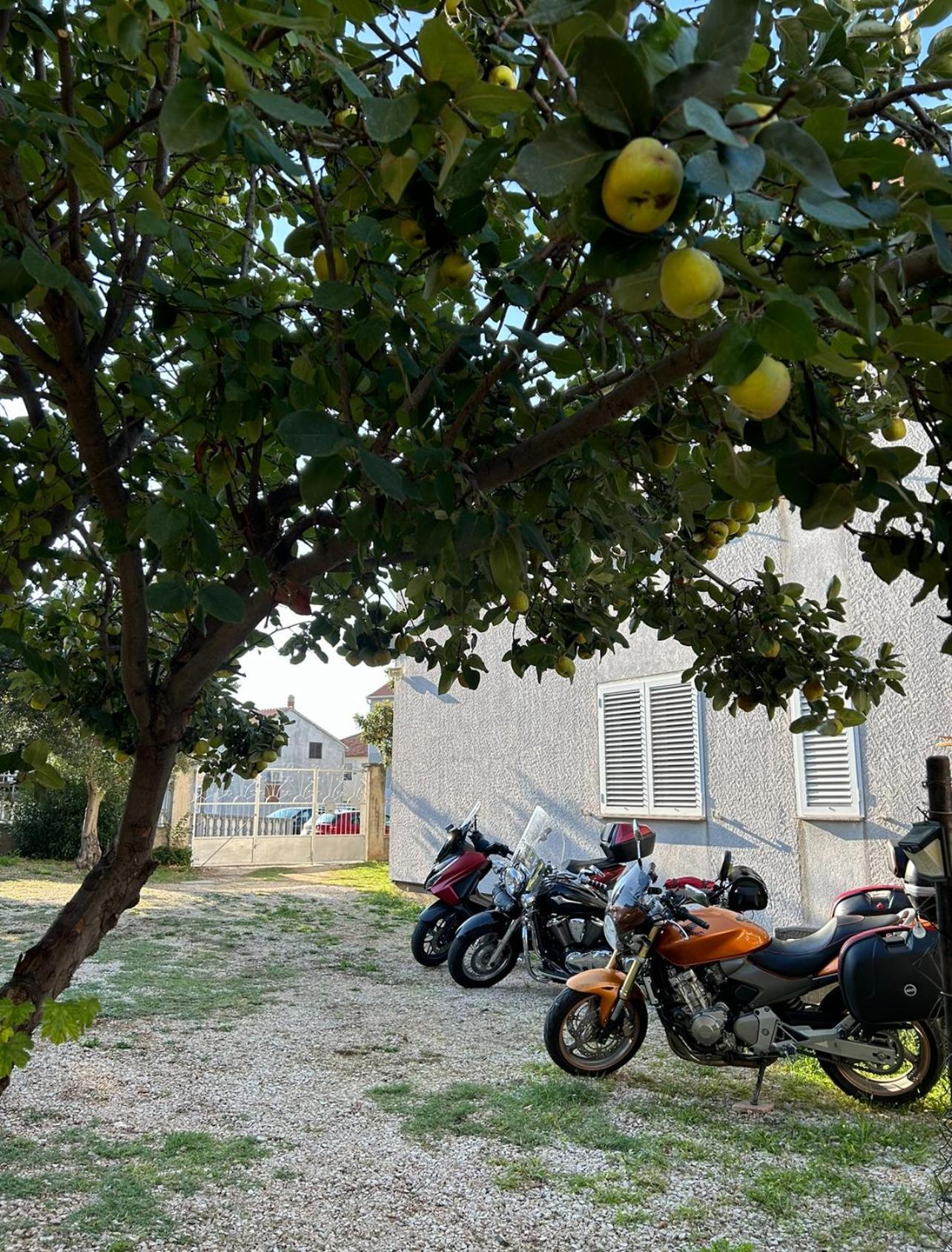 Villa Jadran Zadar Free Parking Sea View Eksteriør bilde